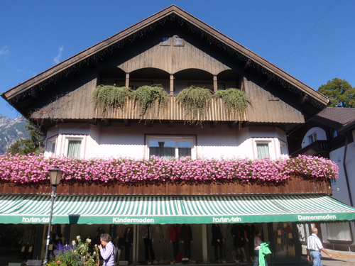 A beautiful shop with many blooming plants.